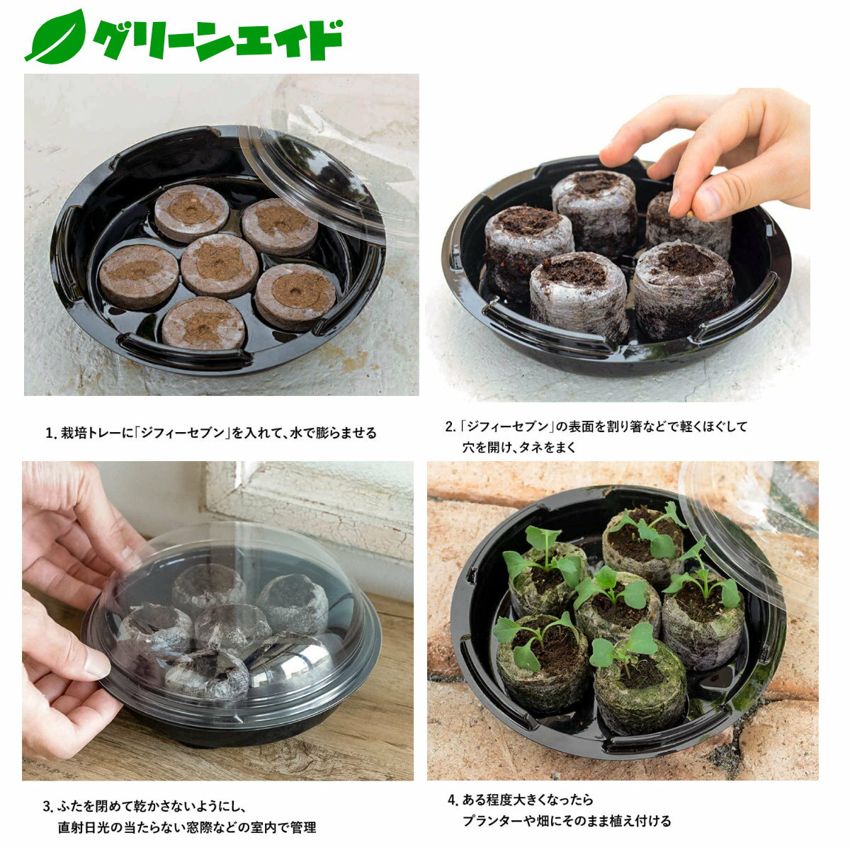 ���ĥ��å� ���󤿤󥿥ͤޤ����å� �������Υ��� ��ޤ��ȥ졼 ��� �����ǥ˥� �ӥ��ʡ����� �鿴�Ը���