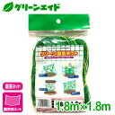 \2日間限定!購入点数に応じて使える最大10%OFFクーポン発行中!/園芸用ネット グリーン園芸ネット 1.8×1.8m マツモト 家庭菜園 園芸 ガーデニング...