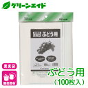 ＼除草剤5%＆培養土10%OFFクーポン発行中！／ブドウ 果実袋 果樹袋 ぶどう用 100枚入 マツモト 果樹 果物 保護袋 園芸