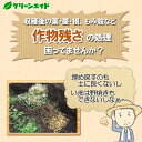 greenaid:10001049のサンプル画像3
