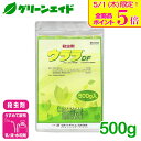 \本日限定!全品ポイント5倍キャンペーン実施中!/殺虫剤 ウララDF 500g 石原産業 アブラムシ類 コナジラミ類 アザミウマ類 トマト きゅうり いちご 害...