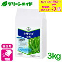 \本日限定!全品ポイント5倍キャンペーン実施中!/殺虫剤 キラップ粒剤 3kg バイエルクロップサイエンス 斑点米カメムシ類 アカヒゲホソミドリカスミカメ その...