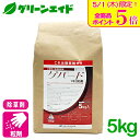 \本日限定!全品ポイント5倍キャンペーン実施中!/除草剤 ゲパード1キロ粒剤 5kg 日産化学 ホタルイ クログワイ オモダカ 移植水稲 直播水稲 雑草 農薬 ...