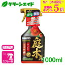 \本日限定!全品ポイント5倍キャンペーン実施中!/庭木 殺虫殺菌剤 サンヨール・トレボンスプレー 1000ml エムシー緑化 園芸 ガーデニング 初心者向け ビ...