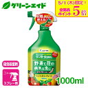 \本日限定!全品ポイント5倍キャンペーン実施中!/野菜 殺虫殺菌剤 サンヨール液剤AL 1000ML エムシー緑化 家庭菜園 園芸 ガーデニング 初心者向け ビ...