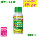 \本日限定!全品ポイント5倍キャンペーン実施中!/野菜 殺虫殺菌剤 サンヨール 100ml エムシー緑化 乳剤 家庭菜園 園芸 ガーデニング