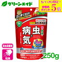 \本日限定!全品ポイント5倍キャンペーン実施中!/殺虫剤 殺菌剤 ベニカXガード粒剤 250g 住友化学園芸 粒剤 病気 虫 ガーデニング 園芸 ビギナー向け ...