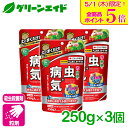 \本日限定!全品ポイント5倍キャンペーン実施中!/まとめ買い 3袋セット 殺虫剤 殺菌剤 ベニカXガード粒剤 250g×3袋 住友化学園芸 粒剤 病気 虫 ガー...
