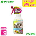 \本日限定!全品ポイント5倍キャンペーン実施中!/観葉植物 殺虫剤 ベニカグリーンVスプレー 250ml 住友化学園芸 殺菌剤 病気 虫 ガーデニング 園芸 ビ...