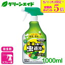 \本日限定!全品ポイント5倍キャンペーン実施中!/殺虫剤 ベニカAスプレー 1000ml 住友化学園芸 家庭菜園 野菜 鉢花 果物 果樹 観葉植物 ケムシ ヨト...