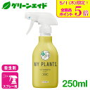 \本日限定!全品ポイント5倍キャンペーン実施中!/観葉植物 殺虫剤 MY PLANTS コバエを退治するミスト 250ML 住友化学園芸 コバエ チョウバエ 園...