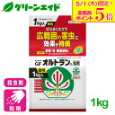 \本日限定!全品ポイント5倍キャンペーン実施中!/殺虫剤 オルトラン粒剤 1kg 住友化学園芸 定番 野菜 草花 家庭菜園 園芸 ガーデニング