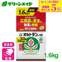 \本日限定!全品ポイント5倍キャンペーン実施中!/殺虫剤 オルトラン粒剤 1.6kg 住友化学園芸 定番 野菜 草花 家庭菜園 園芸 ガーデニング