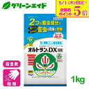 \本日限定!全品ポイント5倍キャンペーン実施中!/殺虫剤 オルトランDX粒剤 1kg 住友化学園芸 野菜 花 家庭菜園 園芸 アブラムシ