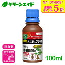 \本日限定!全品ポイント5倍キャンペーン実施中!/殺虫剤 まつ ベニカマツケア 100ml 住友化学園芸 庭木 害虫 園芸 ガーデニング 松