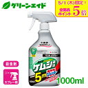 \本日限定!全品ポイント5倍キャンペーン実施中!/ケムシ 殺虫剤 ベニカJスプレー 1000ml 住友化学園芸 庭木 草花 園芸 ガーデニング