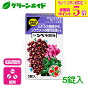 \本日限定!全品ポイント5倍キャンペーン実施中!/成長調整剤 ぶどう ジベラ錠5 5錠 住友化学園芸 無種子化 生育促進 果樹 果物 野菜