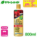 \本日限定!全品ポイント5倍キャンペーン実施中!/バラ 活力剤 マイローズ ばらの活力剤DX 800ML 住友化学園芸 園芸 ガーデニング ビギナー向け 初心者...