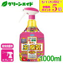 \本日限定!全品ポイント5倍キャンペーン実施中!/殺虫剤 殺菌剤 カダンプラスDX 1000ML フマキラー 病気 虫 ガーデニング 園芸 ビギナー向け 初心者...