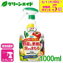\本日限定!全品ポイント5倍キャンペーン実施中!/殺虫剤 カダン野菜用ハンドスプレー 1000ML フマキラー 野菜 果樹 虫 ガーデニング 園芸 ビギナー向け...