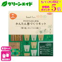\本日限定!全品ポイント5倍キャンペーン実施中!/育苗キット かんたん苗づくりキット サカタのタネ 種まき 育苗トレー 園芸 ガーデニング ビギナー向け 初心者...