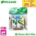 \本日限定!全品ポイント5倍キャンペーン実施中!/結束テープ かんたんくき止めテープ 幅15mm×40m マツモト 家庭菜園 園芸 ガーデニング 初心者向け ビ...