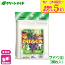 \本日限定!全品ポイント5倍キャンペーン実施中!/ブドウ 果実袋 かけぶくろ ぶどう用 30枚入 マツモト 果樹 果物 保護袋 園芸