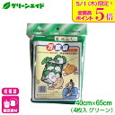 \本日限定!全品ポイント5倍キャンペーン実施中!/収穫袋 万能袋メッシュ グリーン 4枚入 40×65cm マツモト 家庭菜園 園芸 ガーデニング 応援セール