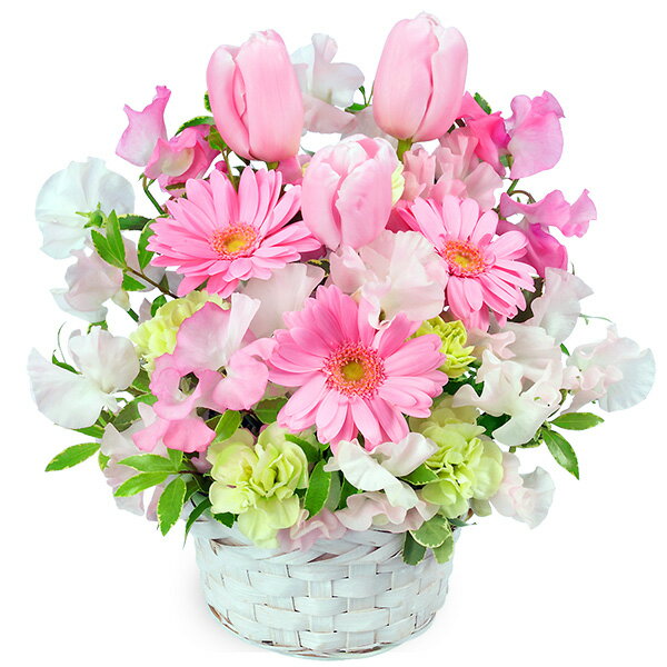 春のピンクアレンジメント】（524283・アレンジメント）(全国の花キューピット加盟店がお届けします）誕生日/結婚祝い/出産/御祝/お見舞い/ペット/還暦祝い/フラワーギフト/歓迎 /退職/当日配達/即日配達/開店祝/花/お祝い/