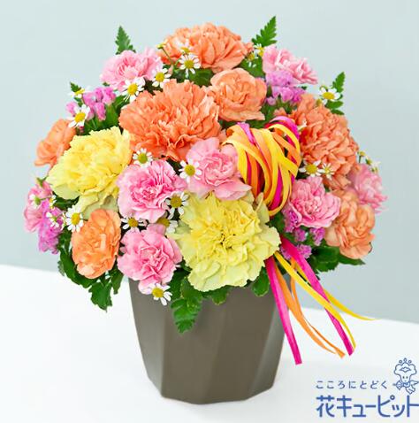 陶器 - 【カーネーションのハミングアレンジメント（オレンジ）】（521368・母の日・アレンジメント）(全国の花キューピット加盟店がお届けします）
