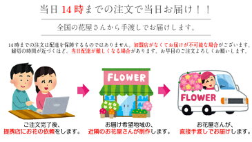 【送料無料】【アレンジメント・花束】(イーフローラ 又は 花キューピット でお届け)誕生日/結婚祝い/出産/御祝/お見舞い/ペット/還暦祝い/フラワーギフト/歓迎 /退職/当日配達/即日配達/開店祝/花/お祝い/eflora/花キューピット/卒業/入学/歓送迎/クリスマス