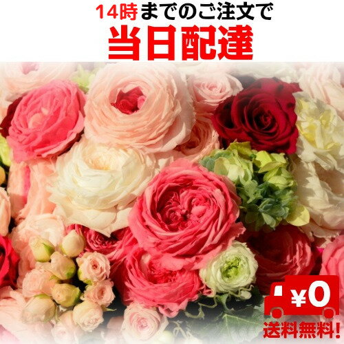 【送料無料】【アレンジメント・花束】(全国のイーフローラ加盟店がお届けします。）誕生日/結婚祝い/出産/御祝/お見舞い/ペット/還暦祝い/フラワーギフト/歓迎 /退職/当日配達/即日配達/開店祝/花/お祝い/eflora/花キューピット/クリスマス