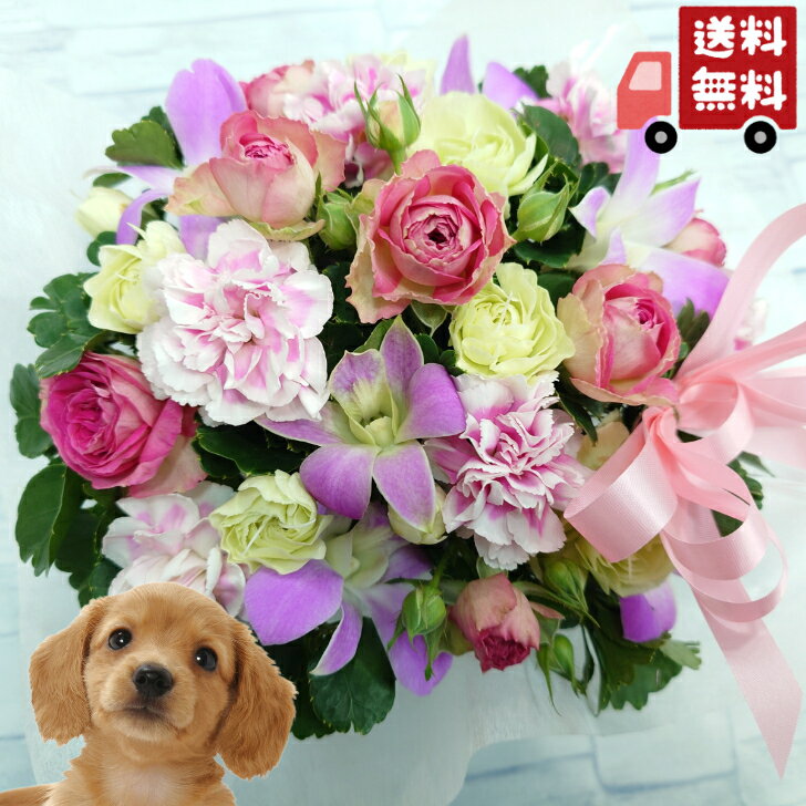 楽天市場】わんちゃん バスケット 花の通販