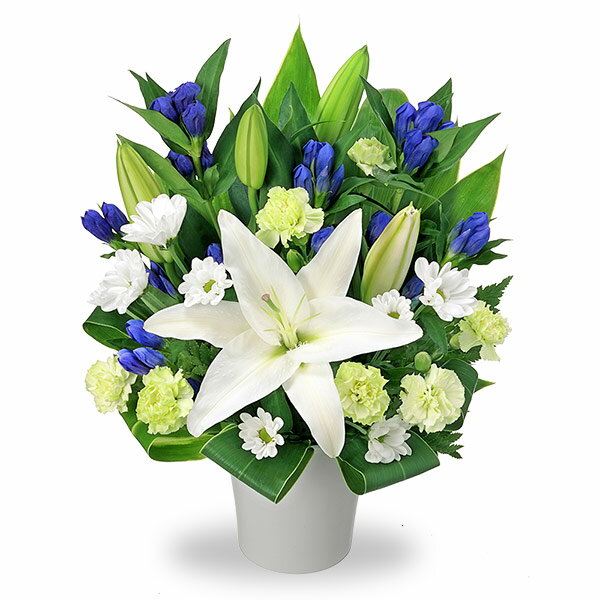 ꡼󰦤ɡʲֲˤ㤨֡ڥ󥸥ȡ(β֥塼ԥåȲŹϤޤˤ////¨//ˡ/ˡ/////涡/ڥå/פβǤʤ4,950ߤˤʤޤ