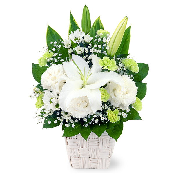 Flower Arrangements - 【アレンジメント】(全国の花キューピット加盟店がお届けします）お供え/お悔やみ/枕花/花/即日/当日/法事/法要/お彼岸/お盆/新盆/初盆/御供/ペット/
