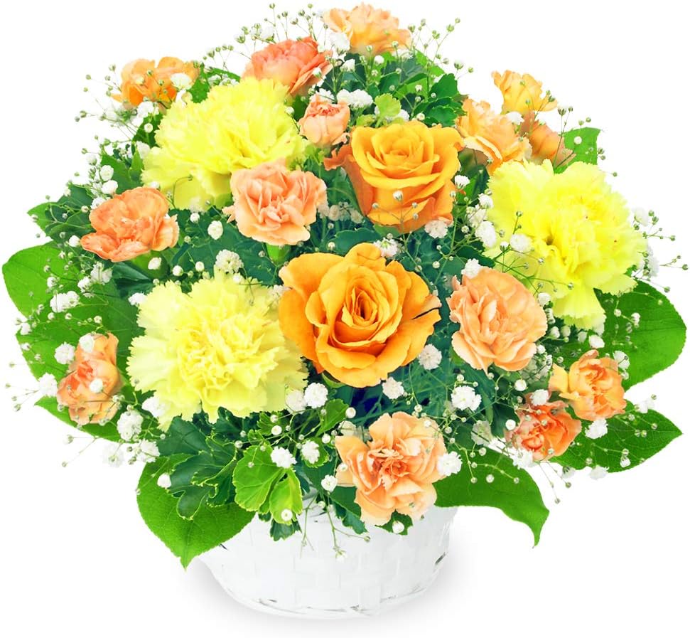 ꡼󰦤ɡʲֲˤ㤨֡ڥ󥸥ХΥ󥸥ȡۡ511999󥸥ȡ(β֥塼ԥåȲŹϤޤ˷Ϸ󡦤Ф㡦פβǤʤ4,950ߤˤʤޤ