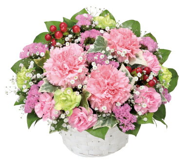 ꡼󰦤ɡʲֲˤ㤨֡ڥԥ󥯥͡Υ󥸥ȡۡ512656󥸥ȡ(β֥塼ԥåȲŹϤޤ/뺧ˤ/л///ڥå/ˤ/եե/ /࿦/ã/¨ã/Ź//ˤ/פβǤʤ4,950ߤˤʤޤ