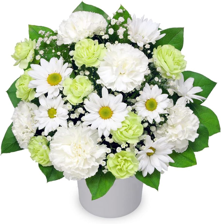 ꡼󰦤ɡʲֲˤ㤨֡ڤΥ󥸥ȡ(512601󥸥ȡ(β֥塼ԥåȲŹϤޤˤ////¨//ˡ/ˡ/////涡/ڥå/פβǤʤ4,400ߤˤʤޤ