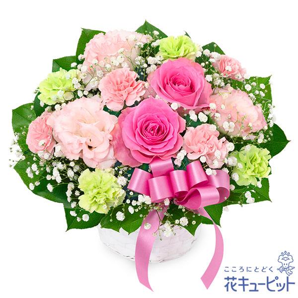 Baby Gifts - 【ピンクバラとリボンのアレンジメント】（524335・アレンジメント）(全国の花キューピット加盟店がお届けします）誕生日/結婚祝い/出産/御祝/お見舞い/ペット/還暦祝い/フラワーギフト/歓迎 /退職/当日配達/即日配達/開店祝/花/お祝い/