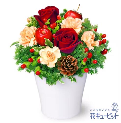 【赤バラのウィンターアレンジメント】（512769・アレンジメント）(全国の花キューピット加盟店がお届..