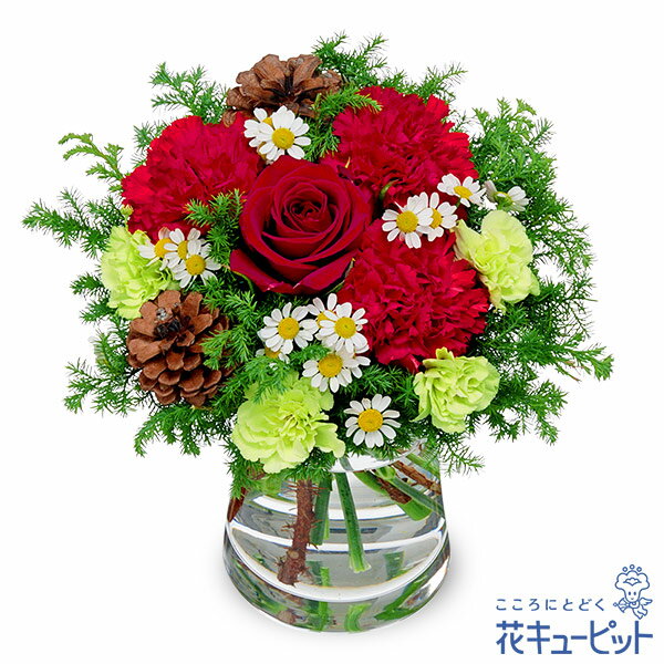 【赤バラのウィンターグラスブーケ（花瓶付き）】（523001）(全国の花キューピット加盟店がお届けしま..