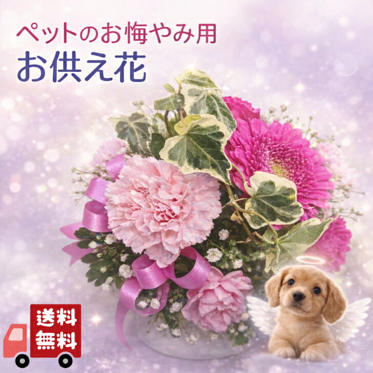 【送料無料・即日発送】【ペットへ贈るカラフルポットアレンジメント】お供え/お悔やみ/枕花/花/即日/当日/法事/法要/お彼岸/お盆/新盆/初盆/花/犬/猫/御供