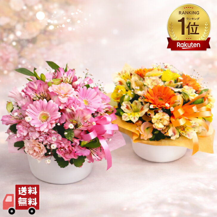 【ラウンドバスケットアレンジメント】誕生日/結婚祝い/出産/お祝い/お見舞い/ペット/還暦祝い/フラワーギフト/歓迎 退職/当日配達/即日配達/開店祝/御祝/お祝い/花/入学/卒業/カーネーション/クリスマスツリー/Xmas/間に合う/花キューピット