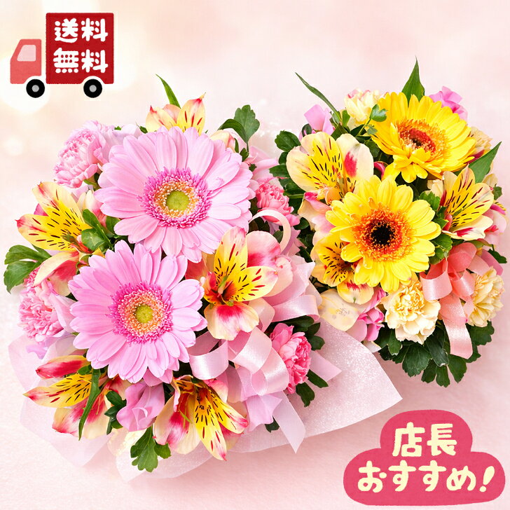 【カラフルバスケットアレンジメント】誕生日/結婚祝い/出産/お祝い/お見舞い/ペット/還暦祝い/フラワーギフト/歓迎 退職/当日配達/即日配達/開店祝/御祝/お祝い/花/入学/卒業/退職/花/敬老の日/カーネーション/花キューピット/間に合う/ムーンダストの商品画像