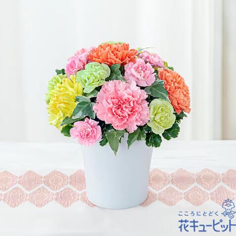 商品情報注意事項写真はイメージです。地域・季節によって、一部花材・花器等が異なる場合がございます。スタイルアレンジメント/オールラウンドサイズ高さ21×幅19×奥行19cm商品説明ピンク・オレンジ・黄色の3色でパステル調に仕上げた、カラフルで可愛らしいカーネーションのアレンジメント。色とりどりの花々が、楽しい母の日を演出してくれます。飾りやすいコンパクトなサイズでお作りいたします。お母さんに心ときめく体験をプレゼントできる、明るくにぎやかなフラワーギフトです。主な花材薄ピンクカーネーション、イエローカーネーション、オレンジカーネーション【グラマラス（カラフル）】（521338・母の日・アレンジメント）(全国の花キューピット加盟店がお届けします） カラフルな花で母の日が楽しくなります 12