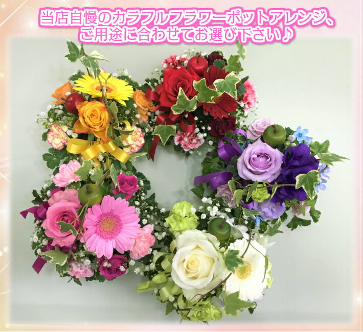 【送料無料・翌日配送】【カラフルポットアレンジメント】【生花・アレンジメント】誕生日/結婚祝い/出産/お祝い/お見舞い/ペット/還暦祝い/フラワーギフト/歓迎 退職/当日配達/即日配達/開店祝/御祝/お祝い/花/卒業/入学/歓送迎/父の日