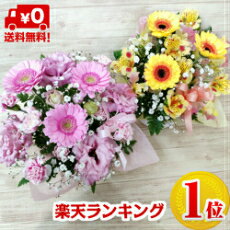【バスケットアレンジメント】誕生日/結婚祝い/出産/お祝い/お見舞い/ペット/還暦祝い/フラワーギフト/歓迎 退職/当日配達/即日配達/開店祝/御祝/お祝い/花/入学/卒業/父の日/カーネーション/クリスマス