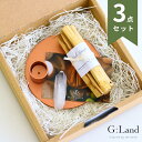 【スーパーSALE 10％OFF】G:Land パロサント ジェムストーンセット 受け皿付 Palo Santo 香木 お香 浄化用 母の日 ギフト おすすめ スマッジングスティック 誕生日 プレゼント インセンス 聖なる木 ホーリーウッド 浄化 エクアドル産 中南米 神の木 クリスマス