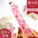 \15%オフ+母の日カード付/ FLOWERiUM ハーバリウム 母の日 ギフト トワレ フラワリウム プレゼント 花 フラワーギフト Toilette 誕生日...