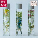 \今なら100円オフ/ FLOWERiUM ハーバリウム 母の日 ギフト フラワリウム Birth バース 花 フラワーギフト 誕生日 クリスマス プレゼント ...
